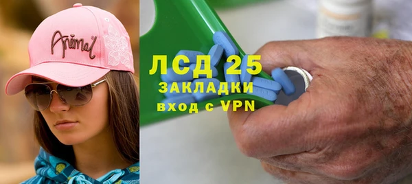 прущие грибы Абаза