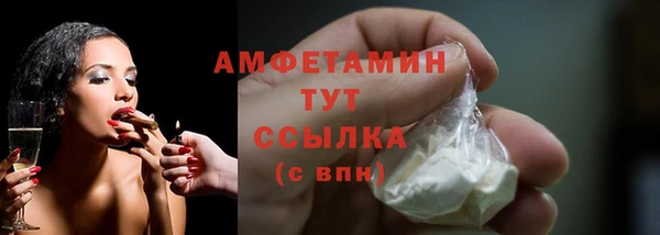 прущие грибы Абаза