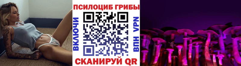 Псилоцибиновые грибы Psilocybe  Томилино 
