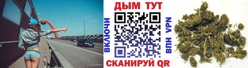 закладка Томилино Канабис план